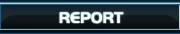 REPORT