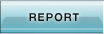 REPORT