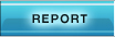 REPORT